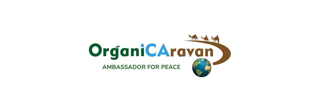 Peace Ambassador Logo